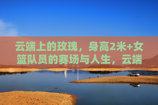 云端上的玫瑰，身高2米+女篮队员的赛场与人生，云端玫瑰，2米+女篮队员的赛场人生