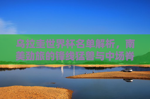 乌拉圭世界杯名单解析，南美劲旅的锋线猛兽与中场脊梁，乌拉圭世界杯名单解析，南美劲旅的锋线猛兽与中场脊梁