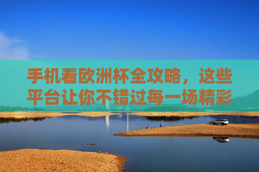 手机看欧洲杯全攻略，这些平台让你不错过每一场精彩！手机看欧洲杯全攻略，平台汇总，精彩不错过！