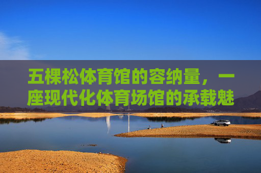五棵松体育馆的容纳量,一座现代化体育场馆的承载魅力,五棵松体育馆,容纳量彰显现代化体育场馆承载魅力 五棵松体育馆的容纳量,一座现代化体育场馆的承载魅力,五棵松体育馆,容纳量彰显现代化体育场馆承载魅力