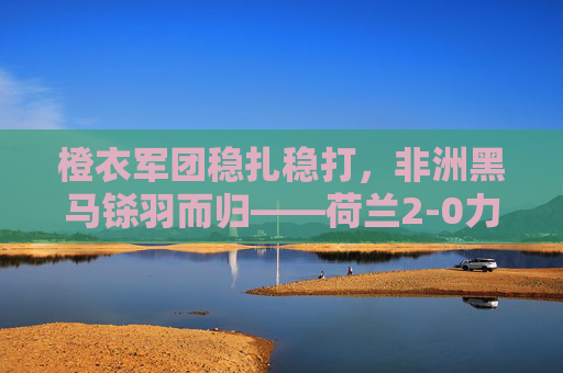 橙衣军团稳扎稳打,非洲黑马铩羽而归——荷兰2-0力克塞内加尔,橙衣军团稳扎稳打2-0力克非洲黑马塞内加尔 橙衣军团稳扎稳打,非洲黑马铩羽而归——荷兰2-0力克塞内加尔,橙衣军团稳扎稳打2-0力克非洲黑马塞内加尔