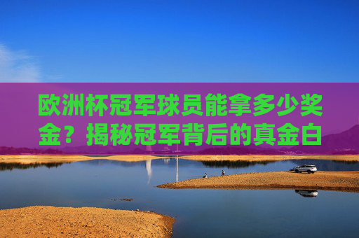 欧洲杯冠军球员能拿多少奖金?揭秘冠军背后的真金白银,欧洲杯冠军球员奖金揭秘 欧洲杯冠军球员能拿多少奖金?揭秘冠军背后的真金白银,欧洲杯冠军球员奖金揭秘