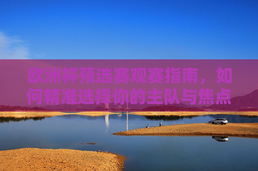 欧洲杯预选赛观赛指南，如何精准选择你的主队与焦点战，欧洲杯预选赛观赛指南，精准选主队，锁定焦点战