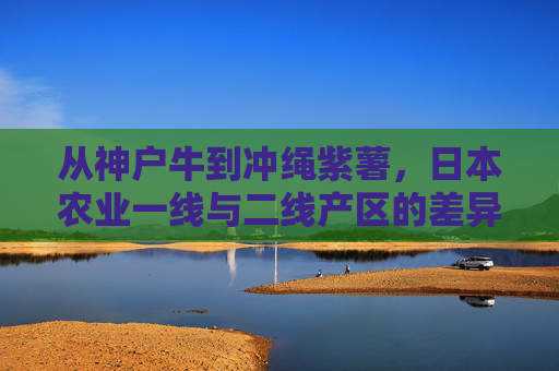 从神户牛到冲绳紫薯，日本农业一线与二线产区的差异化密码，神户牛与冲绳紫薯，日本农业一线二线产区的差异化密码