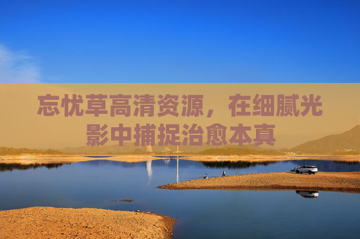 忘忧草高清资源,在细腻光影中捕捉治愈本真 忘忧草高清资源,在细腻光影中捕捉治愈本真