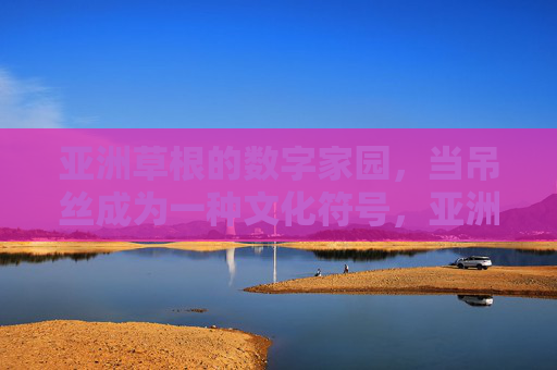 亚洲草根的数字家园,当吊丝成为一种文化符号,亚洲草根的数字家园,吊丝文化符号的建构 亚洲草根的数字家园,当吊丝成为一种文化符号,亚洲草根的数字家园,吊丝文化符号的建构