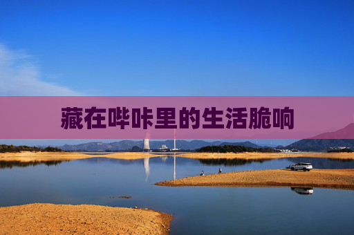 藏在哔咔里的生活脆响 藏在哔咔里的生活脆响