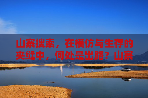 山寨搜索,在模仿与生存的夹缝中,何处是出路?山寨搜索,模仿与生存夹缝中的出路 山寨搜索,在模仿与生存的夹缝中,何处是出路?山寨搜索,模仿与生存夹缝中的出路