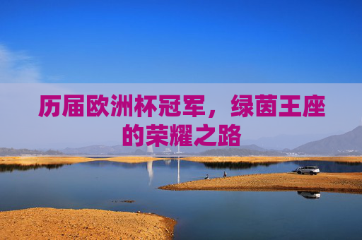 历届欧洲杯冠军,绿茵王座的荣耀之路 历届欧洲杯冠军,绿茵王座的荣耀之路