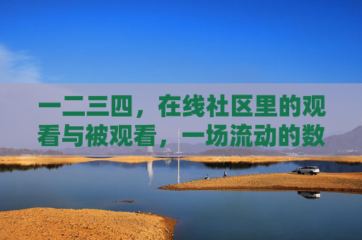 一二三四,在线社区里的观看与被观看,一场流动的数字共生,在线社区的数字共生,流动的凝视 一二三四,在线社区里的观看与被观看,一场流动的数字共生,在线社区的数字共生,流动的凝视