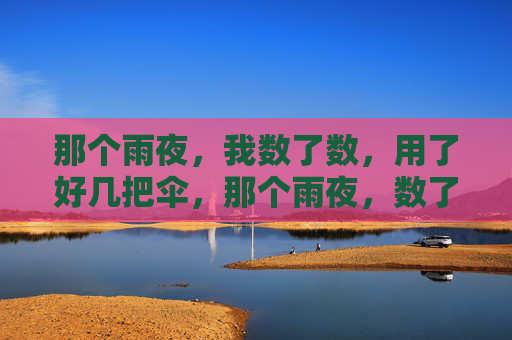 那个雨夜,我数了数,用了好几把伞,那个雨夜,数了好几把伞 那个雨夜,我数了数,用了好几把伞,那个雨夜,数了好几把伞
