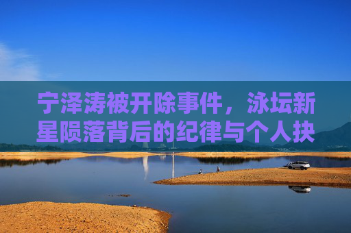 宁泽涛被开除事件,泳坛新星陨落背后的纪律与个人抉择,宁泽涛被开除,泳坛新星陨落背后的纪律与抉择 宁泽涛被开除事件,泳坛新星陨落背后的纪律与个人抉择,宁泽涛被开除,泳坛新星陨落背后的纪律与抉择
