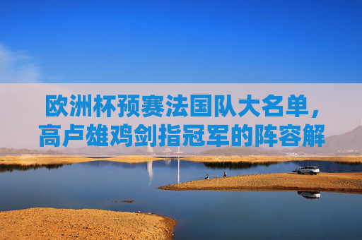 欧洲杯预赛法国队大名单,高卢雄鸡剑指冠军的阵容解析,法国欧洲杯预赛大名单解析,高卢雄鸡剑指冠军 欧洲杯预赛法国队大名单,高卢雄鸡剑指冠军的阵容解析,法国欧洲杯预赛大名单解析,高卢雄鸡剑指冠军