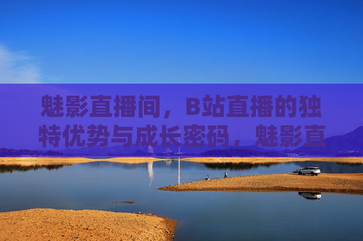 魅影直播间，B站直播的独特优势与成长密码，魅影直播间，B站直播的独特优势与成长密码
