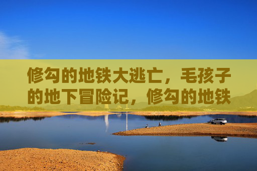 修勾的地铁大逃亡,毛孩子的地下冒险记,修勾的地铁大逃亡 修勾的地铁大逃亡,毛孩子的地下冒险记,修勾的地铁大逃亡