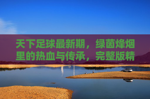 天下足球最新期,绿茵烽烟里的热血与传承,完整版精彩回顾,天下足球,绿茵烽烟里的热血与传承 天下足球最新期,绿茵烽烟里的热血与传承,完整版精彩回顾,天下足球,绿茵烽烟里的热血与传承