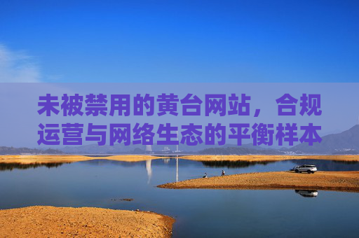 未被禁用的黄台网站,合规运营与网络生态的平衡样本,黄台网站,合规运营与网络生态平衡的样本 未被禁用的黄台网站,合规运营与网络生态的平衡样本,黄台网站,合规运营与网络生态平衡的样本