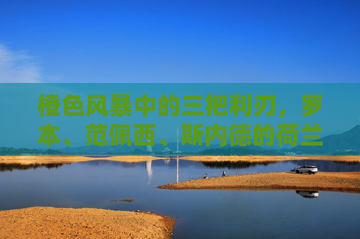 橙色风暴中的三把利刃,罗本、范佩西、斯内德的荷兰三剑客传奇,橙色风暴中的荷兰三剑客传奇 橙色风暴中的三把利刃,罗本、范佩西、斯内德的荷兰三剑客传奇,橙色风暴中的荷兰三剑客传奇