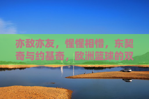 亦敌亦友，惺惺相惜，东契奇与约基奇，欧洲篮球的双子星与黄金时代，欧洲篮球双子星，东契奇与约基奇的亦敌亦友与黄金时代