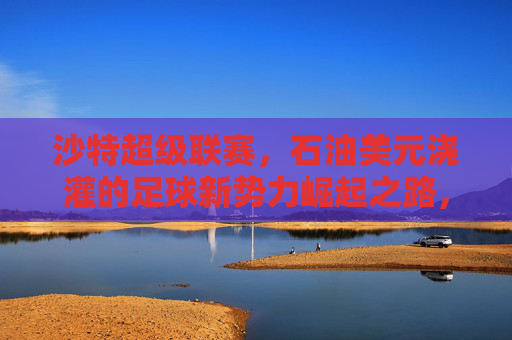 沙特超级联赛，石油美元浇灌的足球新势力崛起之路，石油美元浇灌，沙特超级联赛足球新势力崛起之路