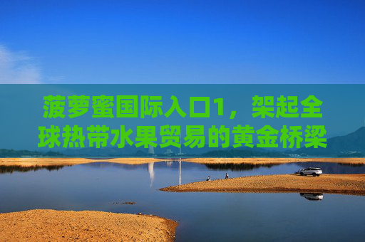 菠萝蜜国际入口1，架起全球热带水果贸易的黄金桥梁，菠萝蜜国际入口，架起全球热带水果贸易黄金桥梁