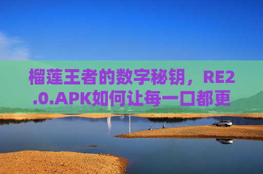 榴莲王者的数字秘钥，RE2.0.APK如何让每一口都更懂你？榴莲王者数字秘钥，RE2.0.APK让每一口更懂你