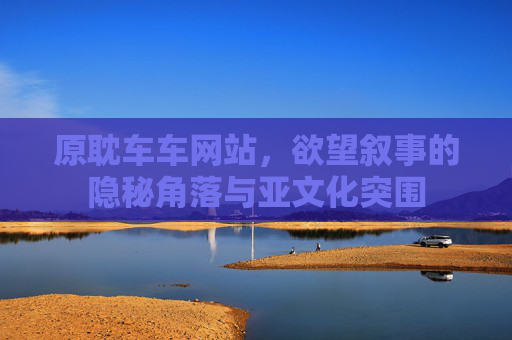 原耽车车网站，欲望叙事的隐秘角落与亚文化突围