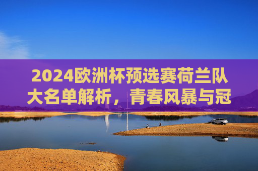2024欧洲杯预选赛荷兰队大名单解析，青春风暴与冠军底蕴的融合，2024欧洲杯预选赛荷兰大名单解析，青春风暴与冠军底蕴的融合