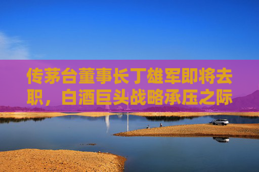 传茅台董事长丁雄军即将去职，白酒巨头战略承压之际迎变局，茅台董事长丁雄军即将去职 白酒巨头战略承压迎变局