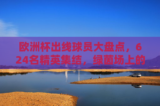 欧洲杯出线球员大盘点，624名精英集结，绿茵场上的星光与梦想，欧洲杯出线球员集结，624名精英的星光与梦想