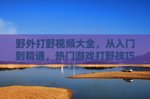 野外打野视频大全，从入门到精通，热门游戏打野技巧全收录，热门游戏打野技巧从入门到精通视频大全