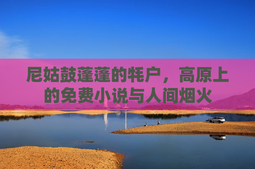 尼姑鼓蓬蓬的牦户，高原上的免费小说与人间烟火
