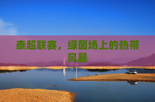 泰超联赛，绿茵场上的热带风暴