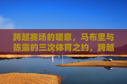 跨越赛场的暖意，马布里与陈露的三次体育之约，跨越赛场，马布里与陈露的三次暖意之约
