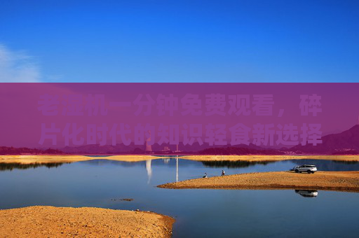 老湿机一分钟免费观看，碎片化时代的知识轻食新选择