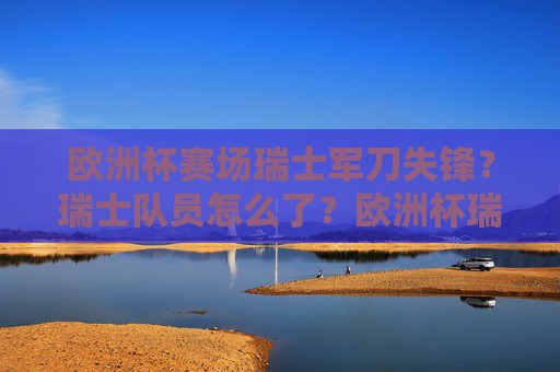 欧洲杯赛场瑞士军刀失锋？瑞士队员怎么了？欧洲杯瑞士军刀失锋，队员怎么了？