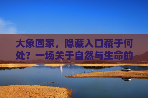 大象回家,隐藏入口藏于何处?一场关于自然与生命的秘密追寻,大象回家,隐藏入口里的自然生命秘密 大象回家,隐藏入口藏于何处?一场关于自然与生命的秘密追寻,大象回家,隐藏入口里的自然生命秘密