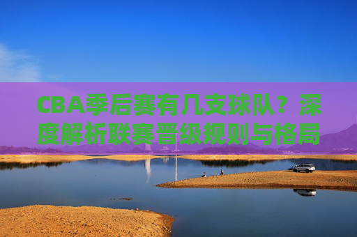 CBA季后赛有几支球队？深度解析联赛晋级规则与格局，深度解析，CBA季后赛球队数量、晋级规则与联赛格局