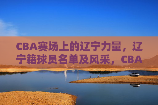 CBA赛场上的辽宁力量，辽宁籍球员名单及风采，CBA赛场上的辽宁力量，辽宁籍球员名单及风采