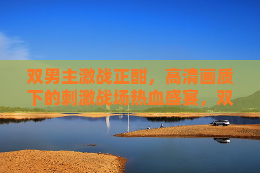 双男主激战正酣，高清画质下的刺激战场热血盛宴，双男主激战正酣，高清战场热血盛宴
