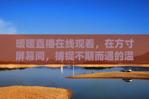 暖暖直播在线观看，在方寸屏幕间，捕捉不期而遇的温暖，方寸屏幕间，暖暖直播捕捉不期而遇的温暖