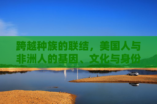 跨越种族的联结,美国人与非洲人的基因、文化与身份之思,跨越种族的联结,美国人与非洲人的基因、文化与身份思辨 跨越种族的联结,美国人与非洲人的基因、文化与身份之思,跨越种族的联结,美国人与非洲人的基因、文化与身份思辨