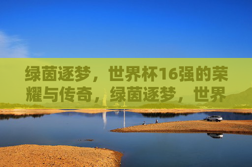 绿茵逐梦,世界杯16强的荣耀与传奇,绿茵逐梦,世界杯16强的荣耀与传奇 绿茵逐梦,世界杯16强的荣耀与传奇,绿茵逐梦,世界杯16强的荣耀与传奇