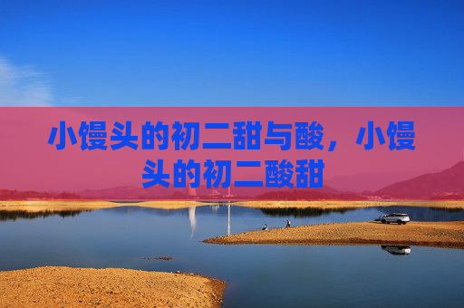 小馒头的初二甜与酸,小馒头的初二酸甜 小馒头的初二甜与酸,小馒头的初二酸甜
