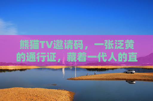 熊猫TV邀请码，一张泛黄的通行证，藏着一代人的直播青春，熊猫TV邀请码，一张泛黄通行证，一代人的直播青春