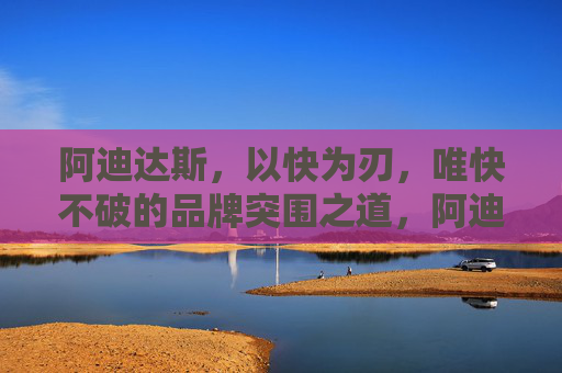 阿迪达斯，以快为刃，唯快不破的品牌突围之道，阿迪达斯，以快为刃，品牌突围之道