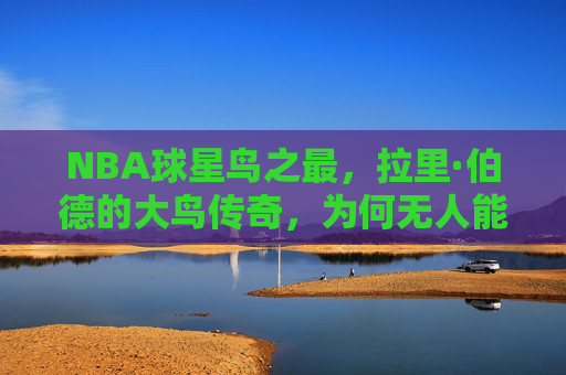 NBA球星鸟之最,拉里·伯德的大鸟传奇,为何无人能及?拉里·伯德,大鸟传奇,为何无人能及? NBA球星鸟之最,拉里·伯德的大鸟传奇,为何无人能及?拉里·伯德,大鸟传奇,为何无人能及?