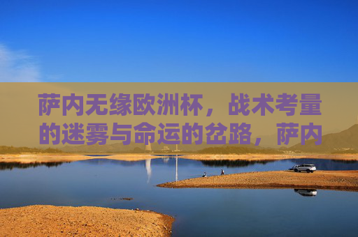 萨内无缘欧洲杯，战术考量的迷雾与命运的岔路，萨内无缘欧洲杯，战术迷雾与命运岔路