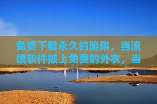 免费下载永久的陷阱，当流氓软件披上免费的外衣，当流氓软件披上免费外衣，免费下载的永久陷阱