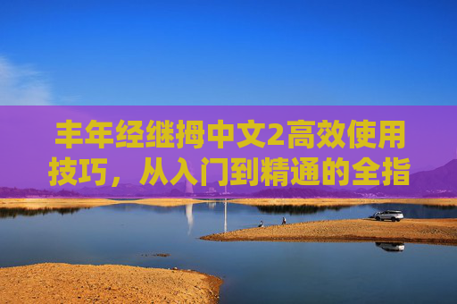 丰年经继拇中文2高效使用技巧，从入门到精通的全指南，丰年经继拇中文2高效使用技巧，从入门到精通全指南
